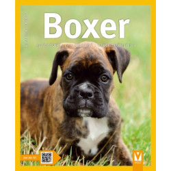 Boxer – 2. vydání