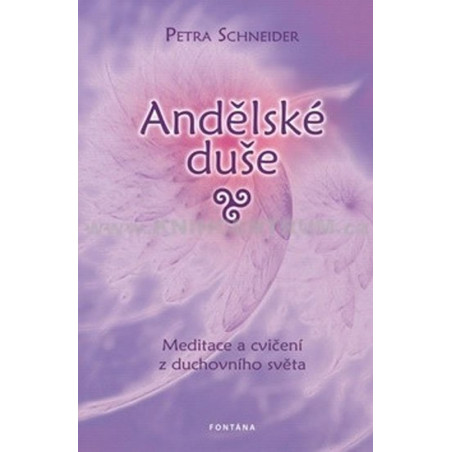 Andělské duše Meditace a cvičení z ducho