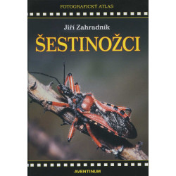 Šestinožci