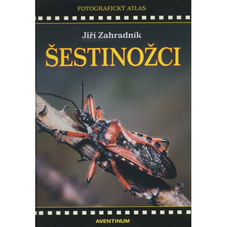 Šestinožci