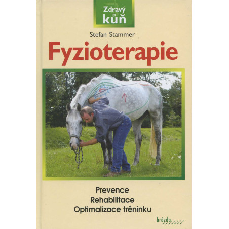 Fyzioterapie