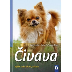 Čivava