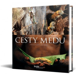 Cesty medu