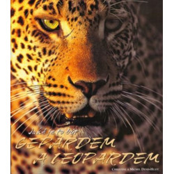 Jaké je to být Gepardem a Leopardem