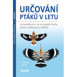 Určování ptáků v letu se zaměřením na evropské druhy pěvců, šplhavců a dalších