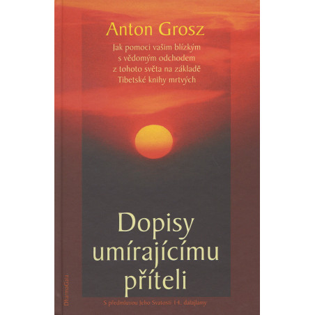 Dopisy umírajícímu příteli
