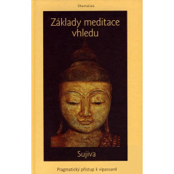 Základy meditace vhledu