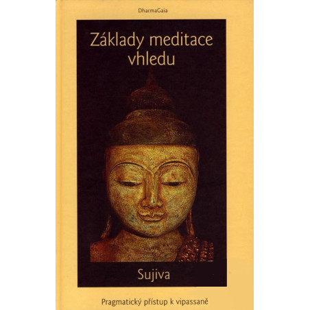 Základy meditace vhledu