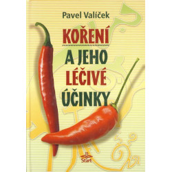 Koření a jeho léčivé účinky