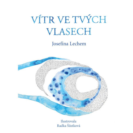 Vítr ve tvých vlasech