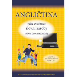 Angličtina velká cvičebnice slovní zásoby nejen pro maturanty