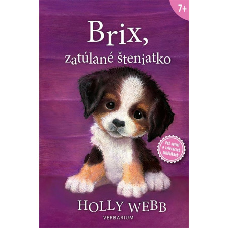 Brix, zatúlané šteniatko