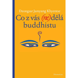 Co z vás (ne)dělá buddhistu