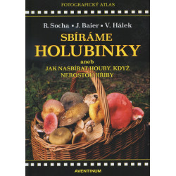 Sbíráme holubinky