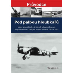 Pod palbou hloubkařů - Útoky amerických a britských stíhacích letounů na pozemní cíle v českých zemích v letech 194