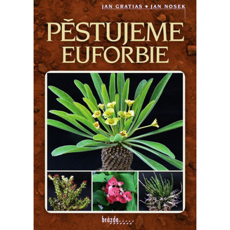 Pěstujeme euforbie