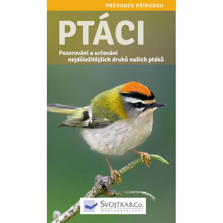 Ptáci - Pozorování a určování nejdůležitějších druhů našich ptáků