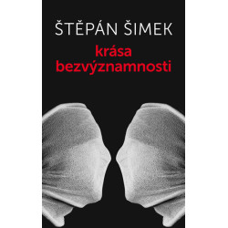 Krása bezvýznamnosti