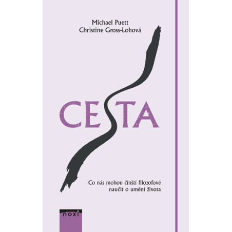 Cesta CZ