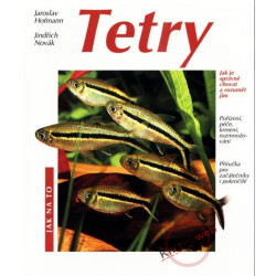 Tetry - Jak na to