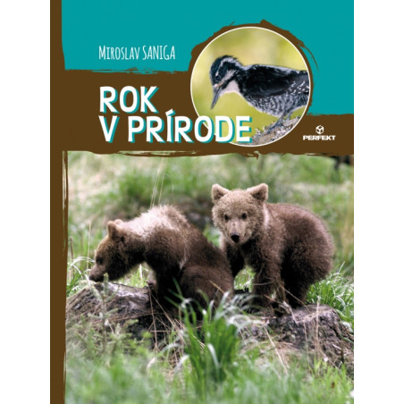 Rok v prírode