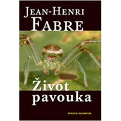 Život pavouka