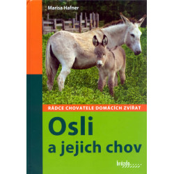 Osli a jejich chov