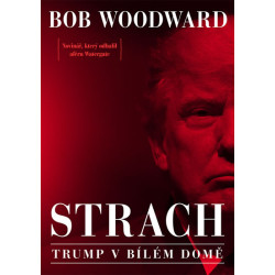 Strach - Trump v Bílém domě