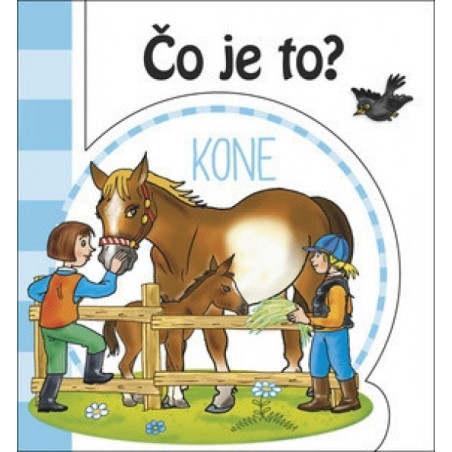 Čo je to? - Kone