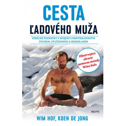 Cesta ľadového muža