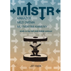 Mistr