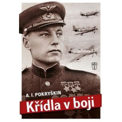 Křídla v boji