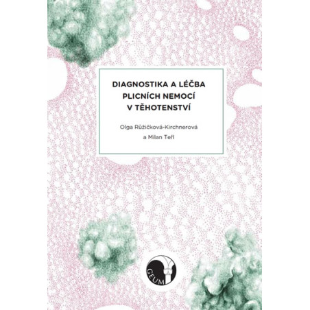 Diagnostika a léčba plicních nemocí v těhotenství