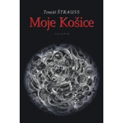 Moje Košice
