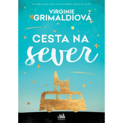 Cesta na sever