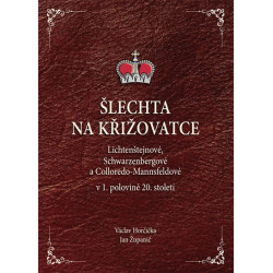 Šlechta na křižovatce - Lichtenštejnové, Schwarzenbergové a Colloredo-Mannsfeldové v 1. polovině 20. století