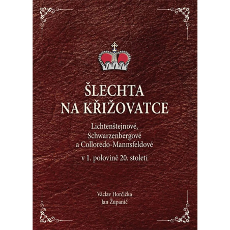 Šlechta na křižovatce - Lichtenštejnové, Schwarzenbergové a Colloredo-Mannsfeldové v 1. polovině 20. století