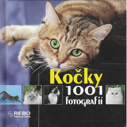 Kočky - 1001 fotografií