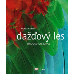 Dažďový les