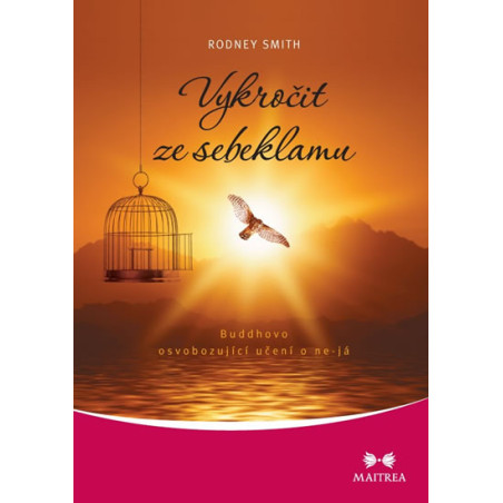 Vykročit ze sebeklamu - Buddhovo osvobozující učení o ne-já
