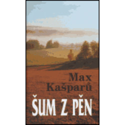 Šum z pěn