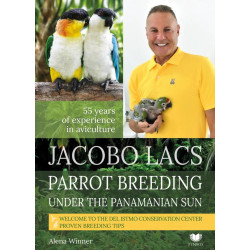 Parrot breeding unter the Panamanian Sun