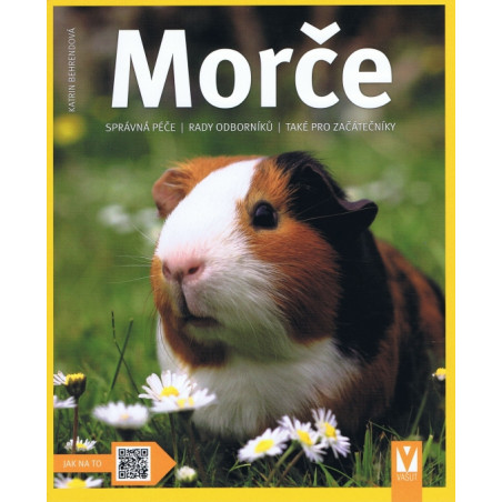 Morče