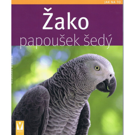 Žako – papoušek šedý