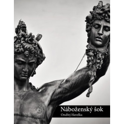 Náboženský šok - Religiózní otřesy v odlišných náboženstvích a kulturách, mezináboženský dialog