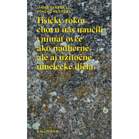 Pohľad pastiera