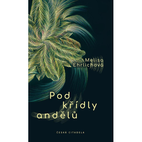 Pod křídly andělů