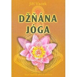 Džňána jóga