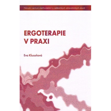 Ergoterapie v praxi
