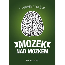 Mozek nad mozkem